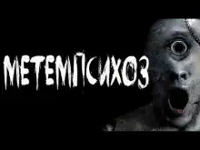 Обложка книги Метемпсихоз