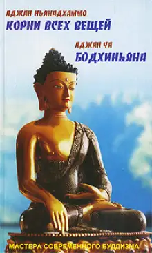 Обложка книги Бодхиньяна