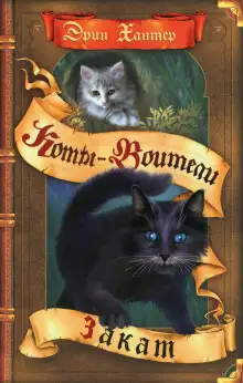 Обложка книги Закат