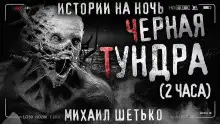 Обложка книги Чёрная Тундра
