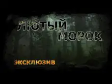 Обложка книги Лютый морок