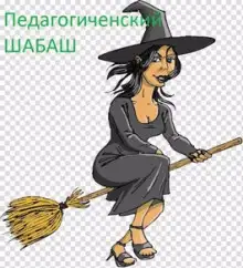 Обложка книги Педагогический шабаш