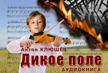 Обложка книги Дикое Поле