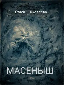 Обложка книги Масёныш