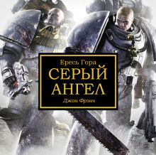 Обложка книги Серый ангел