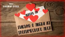 Обложка книги Письма о любви из тропического леса