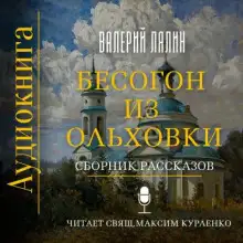 Обложка книги Бесогон из Ольховки. Сборник рассказов