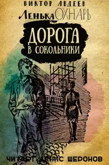 Обложка книги Дорога в Сокольники