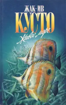 Обложка книги Живое море