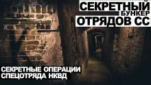 Обложка книги Дело номер 011