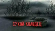 Обложка книги Сухой колодец
