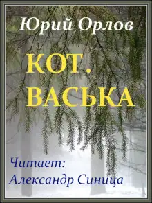 Обложка книги Кот. Васька