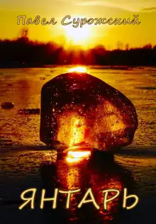 Обложка книги Янтарь