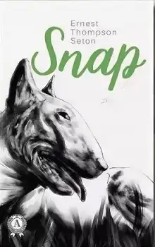 Обложка книги Снап
