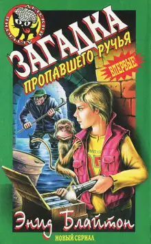 Обложка книги Загадка пропавшего ручья