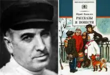 Обложка книги Избранные рассказы