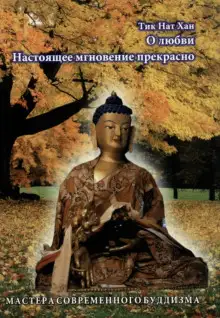 Обложка книги Настоящее мгновение прекрасно