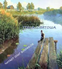 Обложка книги Тоша-святоша