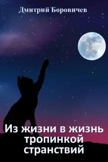 Обложка книги Из жизни в жизнь тропинкой странствий