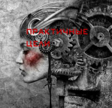 Обложка книги Практичные цели