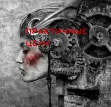 Обложка книги Практичные цели