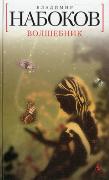 Обложка книги Волшебник