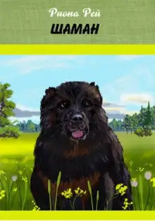 Обложка книги Шаман