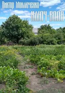 Обложка книги Ключ-вода