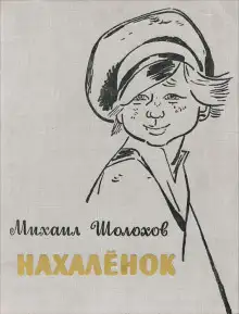 Обложка книги Нахалёнок