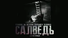 Обложка книги Салведь