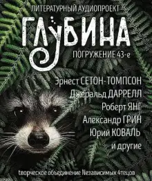 Обложка книги ГЛУБИНА. Погружение 43-е