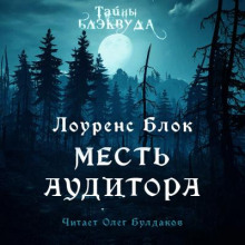 Обложка книги Месть аудитора