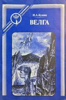 Обложка книги Велга