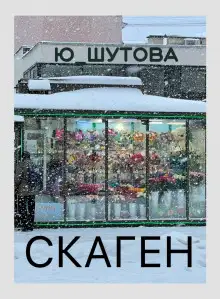 Обложка книги Скаген
