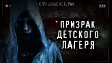 Обложка книги Девочка в озере и берёзках