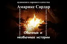 Обложка книги Обычные и необычные истории