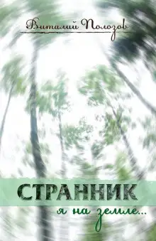Обложка книги Странник я на земле...