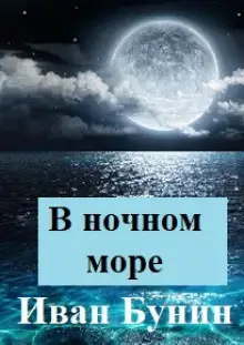 Обложка книги В ночном море