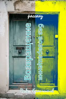 Обложка книги Возвращение без возвращения