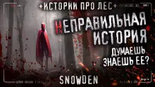 Обложка книги Неправильная история