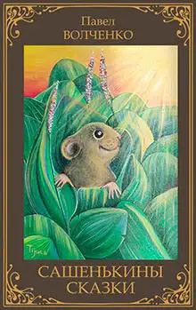Обложка книги Сашенькины сказки