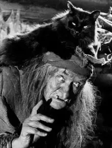 Обложка книги Таких не берут в Бабки Ежки