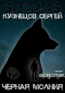 Обложка книги S-T-I-K-S. Чёрная Молния