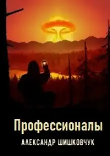 Обложка книги Профессионалы