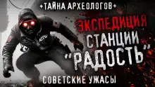 Обложка книги Станция «Радость»‎
