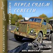 Обложка книги Перед судом совести