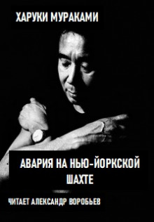 Обложка книги Авария на Нью-Йоркской шахте