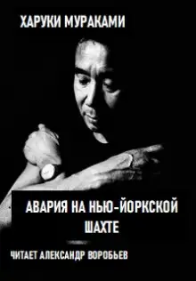 Обложка книги Авария на Нью-Йоркской шахте