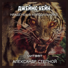 Обложка книги Младенец в холодильнике