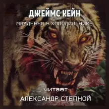 Обложка книги Младенец в холодильнике